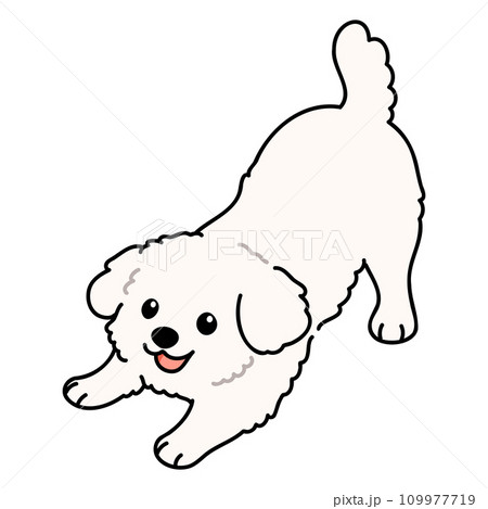 遊びに誘うシンプルで可愛いマルチーズのイラスト　主線あり 109977719