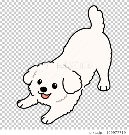 遊びに誘うシンプルで可愛いマルチーズのイラスト　主線あり 109977719