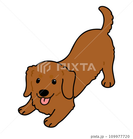 遊びに誘うシンプルで可愛いレッドのミニチュアダックスフンドのイラスト　主線あり 109977720