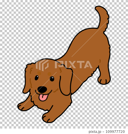 遊びに誘うシンプルで可愛いレッドのミニチュアダックスフンドのイラスト　主線あり 109977720