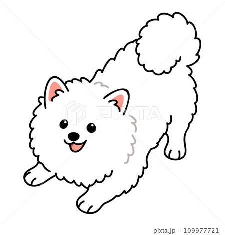 遊びに誘うシンプルで可愛い白いスピッツのイラスト　主線あり 109977721