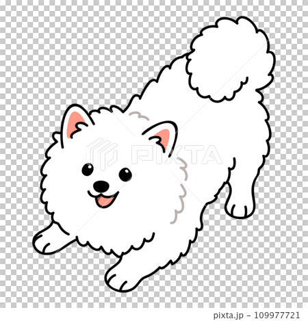 邀請您玩耍的白色斯皮茨的簡單可愛插圖,帶有主線 邀請您玩耍的白色斯皮茨的簡單可愛插圖,帶有主線 109977721