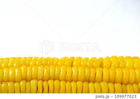 Boiled Corn on the cob. 109977823