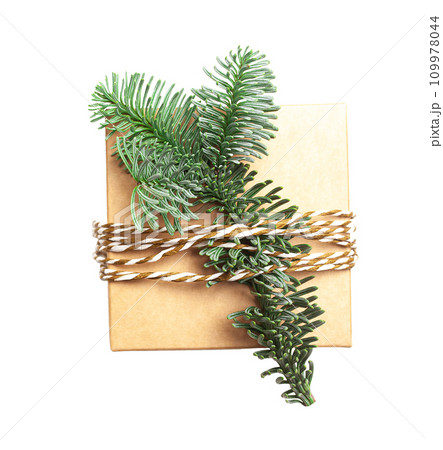 Christmas tree branch with gift box on isolated white background. Winter holiday element for greeting card, design invitation Christmas tree branch with gift box on isolated white background. Winter holiday element for greeting card, design invitation 109978044