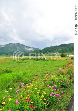 長野県阿南町の風景(長野県) 長野県阿南町の風景(長野県) 109978132