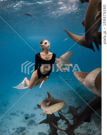 Swim with sharks. Woman swims with the Nurse shark (Ginglymostoma cirratum) in tropical ocean. Swim with sharks. Woman swims with the Nurse shark (Ginglymostoma cirratum) in tropical ocean. 109979260