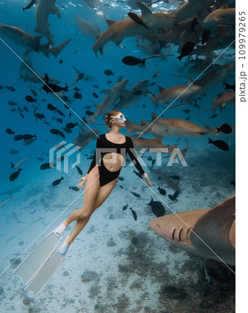 Woman freediver in a clear tropical water with nurse sharks in Maldives Woman freediver in a clear tropical water with nurse sharks in Maldives 109979265
