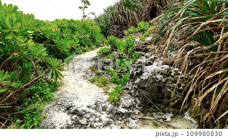 鹿児島県与論島のトゥマイビーチの登り坂 鹿児島県与論島のトゥマイビーチの登り坂 109980830