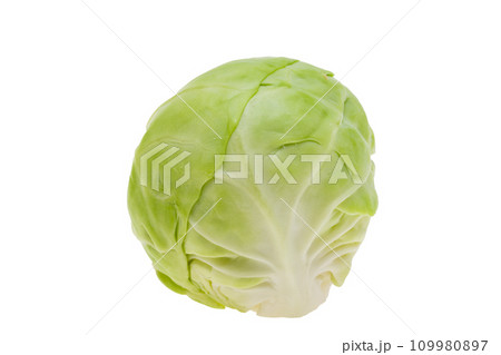 Brussels sprouts isolated Brussels sprouts isolated 109980897
