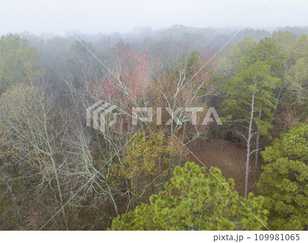 late November aerial view of a forest in fog on a shore of the Tennessee River near Colbert Ferry Park, Natchez Trace Parkway late November aerial view of a forest in fog on a shore of the Tennessee River near Colbert Ferry Park, Natchez Trace Parkway 109981065