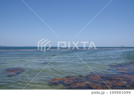 鳥居が浮かぶ海　石川県珠洲市　見附島 109981099