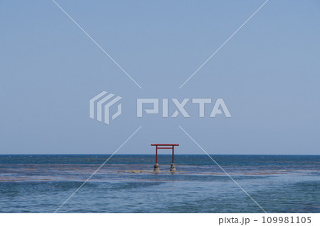 鳥居が浮かぶ海 石川県珠洲市 見附島 鳥居が浮かぶ海 石川県珠洲市 見附島 109981105