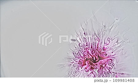 Paint drop. Ink splatter. Acrylic stain. Pink color dye blot texture on light abstract art illustration empty space background. 109981408