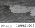 寒さを感じる冬の海と波 109981505