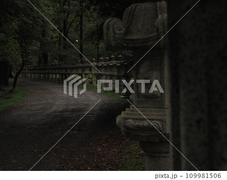 幻想的な神社の参道 幻想的な神社の参道 109981506
