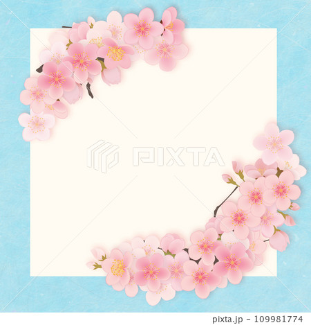ソメイヨシノ 桜 花 フレーム素材 ソメイヨシノ 桜 花 フレーム素材 109981774