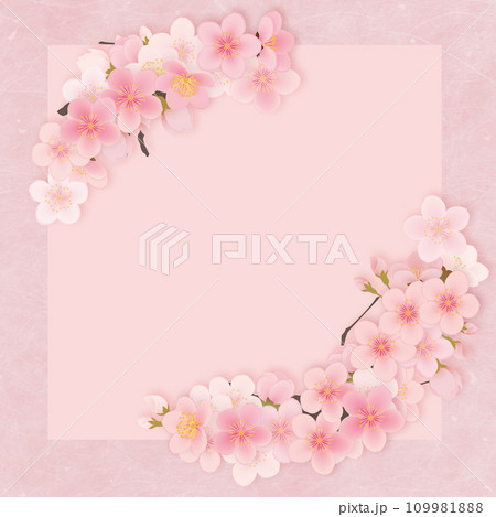 ソメイヨシノ 桜 花 フレーム素材 ソメイヨシノ 桜 花 フレーム素材 109981888