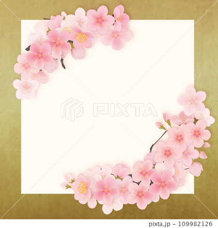 ソメイヨシノ 桜 花 フレーム素材 ソメイヨシノ 桜 花 フレーム素材 109982126