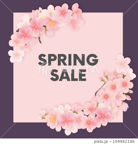 ソメイヨシノ 桜 花 フレーム素材 ソメイヨシノ 桜 花 フレーム素材 109982186