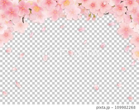 櫻花盛開的簡單插畫 109982268