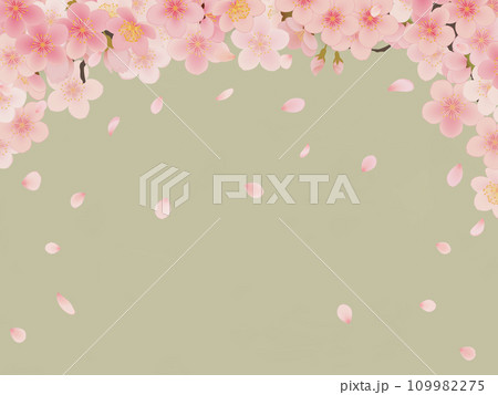 桜の花びらイラスト背景素材 109982275