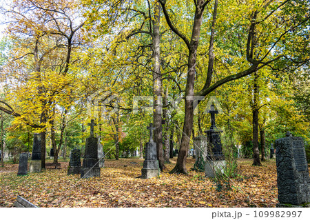 Autumn view of famous Old North Cemetery of Munich, Germany with historic gravestones. Autumn view of famous Old North Cemetery of Munich, Germany with historic gravestones. 109982997