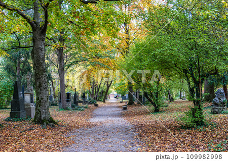 Autumn view of famous Old North Cemetery of Munich, Germany with historic gravestones. 109982998