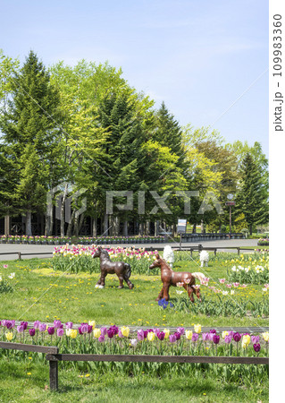 カントリーハウス前の花壇　滝野すずらん丘陵公園　札幌市 109983360