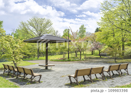 新緑の石山緑地　札幌市 109983398