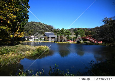 金沢八景 称名寺・称名晩鐘・金沢北条氏菩提寺 / イチョウの映り込み / 日本観光素材 金沢八景 称名寺・称名晩鐘・金沢北条氏菩提寺 / イチョウの映り込み / 日本観光素材 109983447