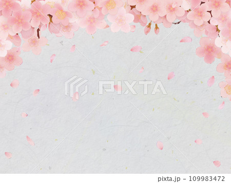 シンプルな満開の桜のイラスト シンプルな満開の桜のイラスト 109983472