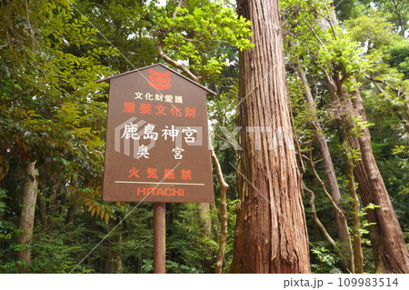 日本建国・武道の神様である「武甕槌大神」を御祭神とする鹿島神宮 日本建国・武道の神様である「武甕槌大神」を御祭神とする鹿島神宮 109983514