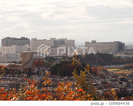 野見山展望台から見た秋の豊田市市街地風景 野見山展望台から見た秋の豊田市市街地風景 109984436