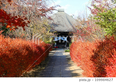 紅葉の風景　多聞院毘沙門堂　所沢市　 109984627