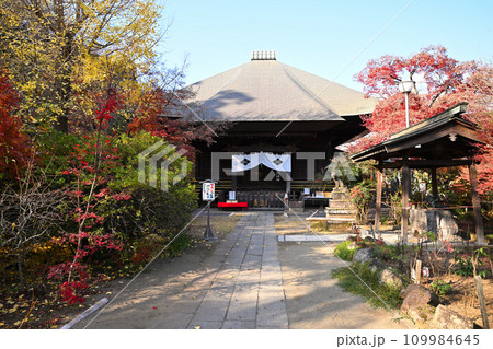 紅葉の風景 多聞院毘沙門堂 所沢市 紅葉の風景 多聞院毘沙門堂 所沢市 109984645
