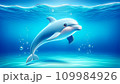可愛いイルカ 109984926