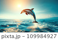 神々しいイルカ 109984927