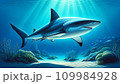 海を漂うサメ 109984928
