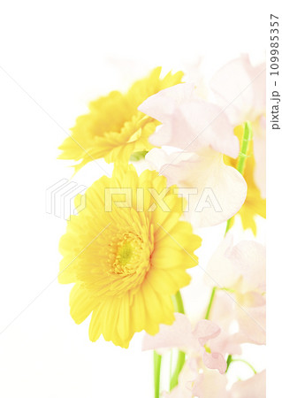 明るい黄色のガーベラとピンクの花 明るい黄色のガーベラとピンクの花 109985357