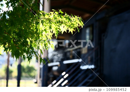 光を浴びる吉松駅のイメージ 109985452