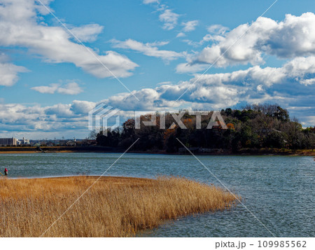 葦原の群生する水辺と雪雲 109985562