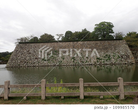 兵庫県姫路市にあり現存12天守の一つで黒田重隆、黒田職隆、黒田孝高（官兵衛、如水）が城代だった姫路城 109985570