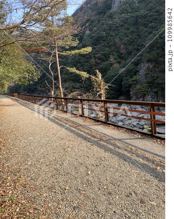 福知山線廃線敷ウォーク 109985642