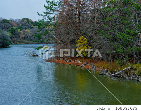 雪雲と溜池の風景 109985685