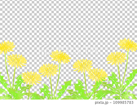 水彩風　たんぽぽの背景イラスト 109985783
