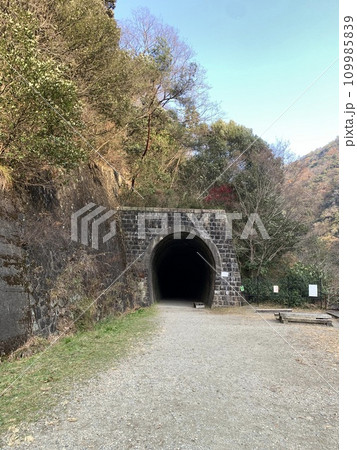 福知山線廃線敷ウォーク 109985839
