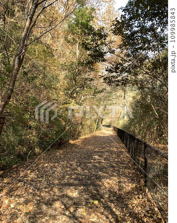 福知山線廃線敷ウォーク 109985843