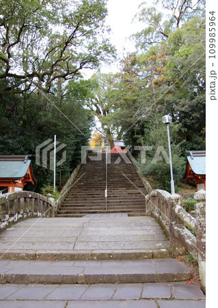 鹿児島県霧島市の鹿児島神宮参道 109985964