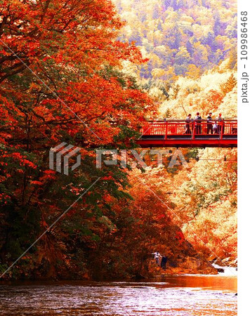晩秋の定山渓温泉と二見吊り橋 晩秋の定山渓温泉と二見吊り橋 109986468