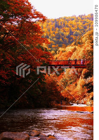 晩秋の定山渓温泉と二見吊り橋 晩秋の定山渓温泉と二見吊り橋 109986470